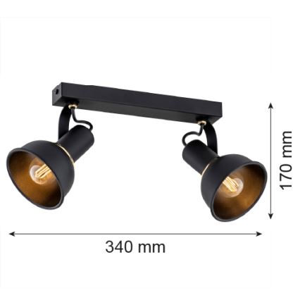 Argon 7037 - Spotlight TWIST 2xE14/7W/230V svart/gyllene