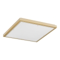 Argon 7167 - Taklampa CARLSON 2xE27/15W/230V 29x29 cm guld