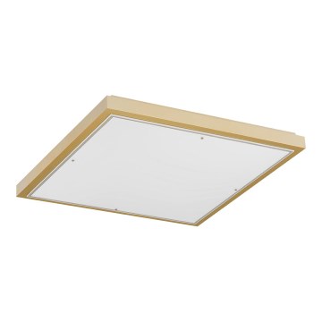 Argon 7167 - Taklampa CARLSON 2xE27/15W/230V 29x29 cm guld