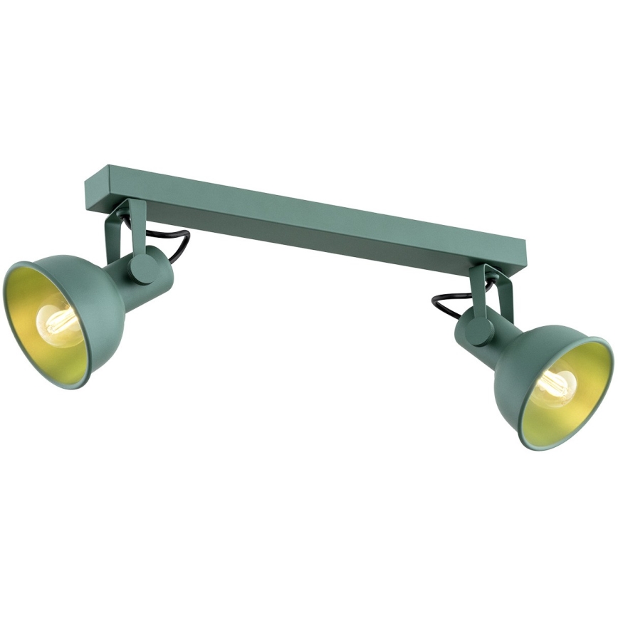Argon 7174 - Spotlight LENORA 2xE14/7W/230V grön