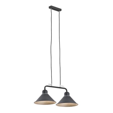 Argon 768 - Hängande lampa DŻERBA 2xE27/60W/230V