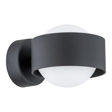 Argon 8059 - Vägglampa MASSIMO PLUS 1xG9/6W/230V svart