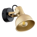 Argon 8248 - Spotlight LENORA 1xE14/7W/230V guld/svart