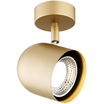 Argon 8260 - Spotlight ISOLA 1xGU10/5W/230V