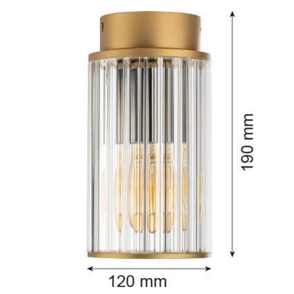 Argon 8774 - Taklampa för utomhusbruk NORFOLK 1xE27/15W/230V IP44 guld
