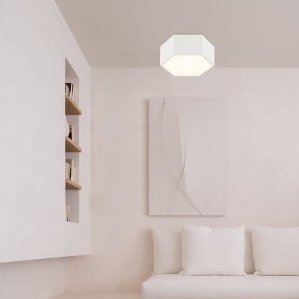 Argon 8781 - LED taklampa LIBERO LED/12W/230V 3000K vit