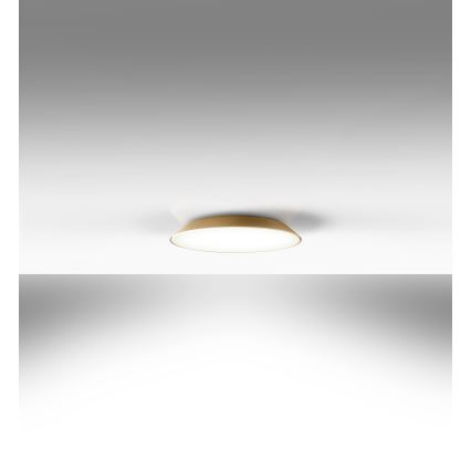 Artemide AR 0241320A - LED Taklampa FEBE 4xLED/30W/230V