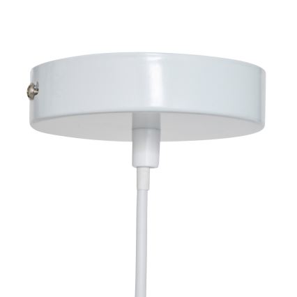Atmosphera - Barnlampa på sladd SCOTT 1xE27/40W/230V med hundmotiv