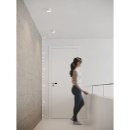 Azzardo AZ2252 - LED Takbelysning MONZA 1xLED/5W/230V