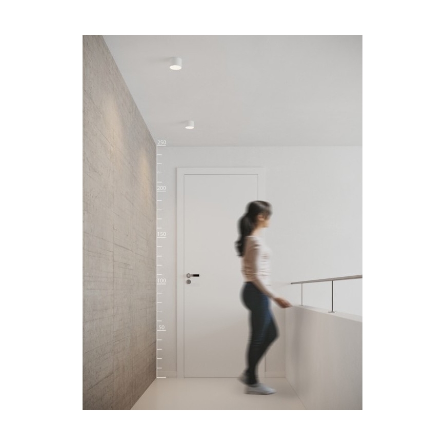 Azzardo AZ2252 - LED Takbelysning MONZA 1xLED/5W/230V