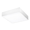 Azzardo AZ2268 - LED taklampa MONZA SQUARE LED/20W/230V