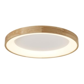 Azzardo AZ2698 - LED-taklampa SILVAM LED/50W/230V