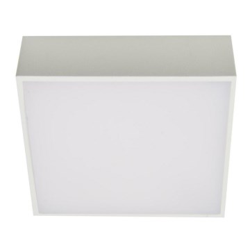 Azzardo AZ2781 - LED Takbelysning FALCO LED/12W/230V