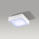 Azzardo AZ2781 - LED Takbelysning FALCO LED/12W/230V