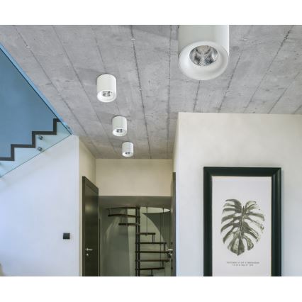 Azzardo AZ2845 - LED Takbelysning MANE 1xLED/10W/230V