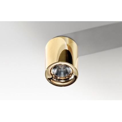 Azzardo AZ2846 - LED Takbelysning MANE 1xLED/10W/230V