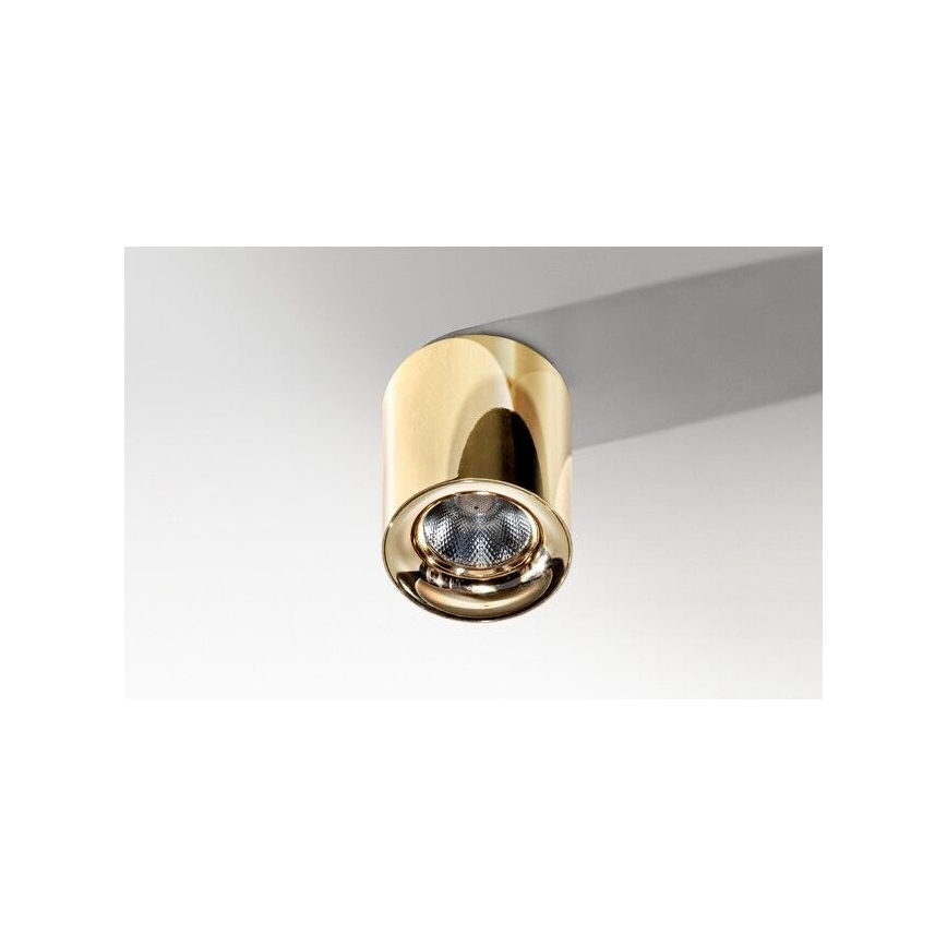 Azzardo AZ2846 - LED Takbelysning MANE 1xLED/10W/230V