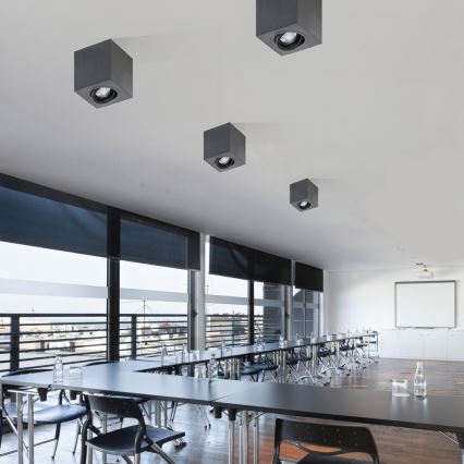 Azzardo AZ2878 - Badrumsbelysning tak BRANT 1xGU10/50W/230V IP44