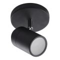 Azzardo AZ4136 - Badrum spotlight  NOEMIE 1xGU10/35W/230V IP44