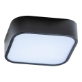 Azzardo AZ4146 - Badrum taklampa  LUCIE 2xE27/20W/230V IP44