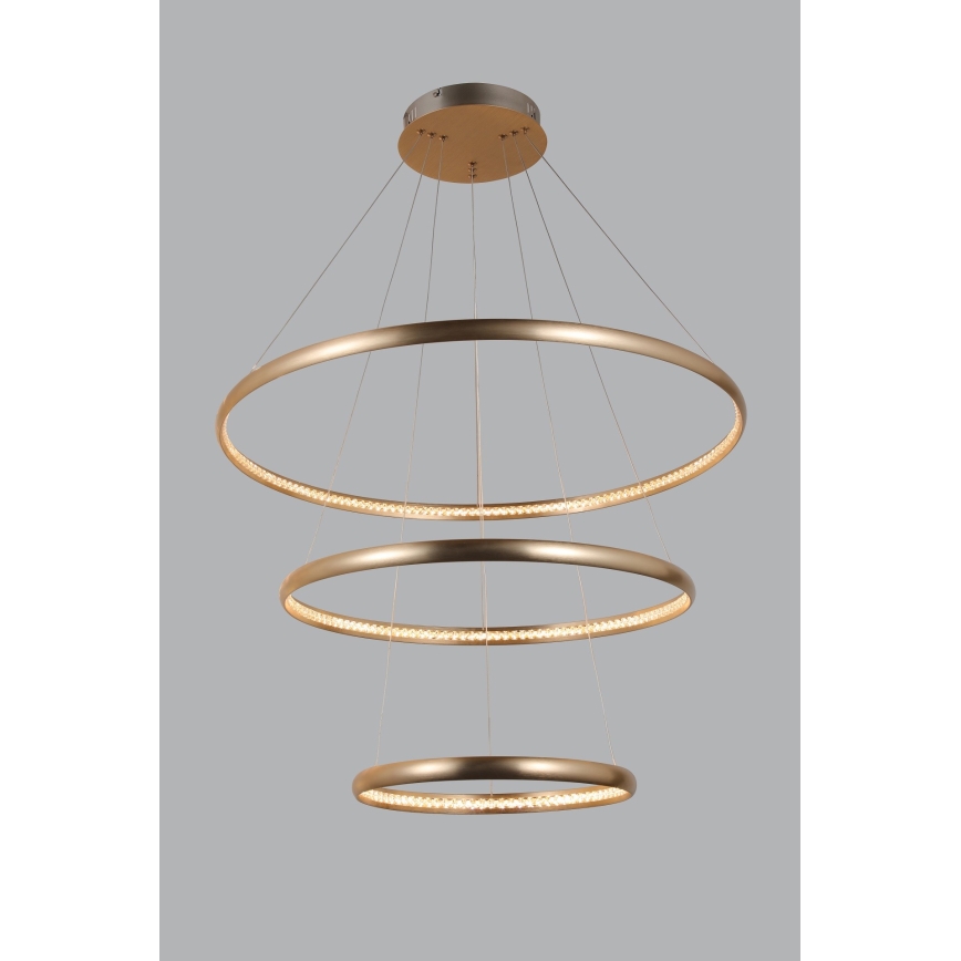 Azzardo AZ4429 - LED takkrona på ett snöre  BRIGHTON LED/55W/230V gold