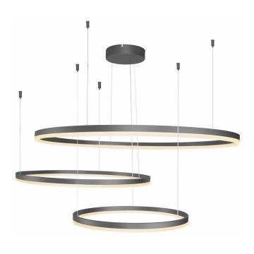 Azzardo AZ4707 - LED takkrona på ett snöre  HALO LED/130W/230V svart