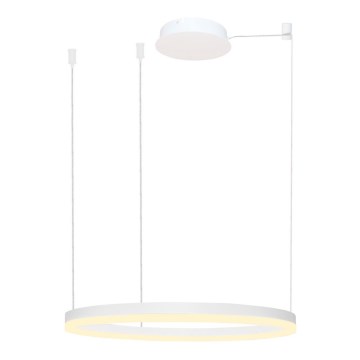 Azzardo AZ4959 - LED ljusreglerad ljuskrona på textilsladd HALO LED/56W/230V diameter 80 cm vit