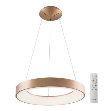 Azzardo AZ5009 - LED ljusreglerad ljuskrona på textilsladd SANTANA LED/50W/230V guld + fjärrkontroll