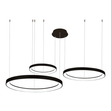 Azzardo AZ5024  - LED ljusreglerad ljuskrona på textilsladd AGNES LED/120W/230V svart