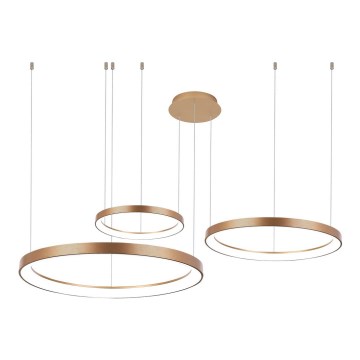 Azzardo AZ5026 - LED ljusreglerad ljuskrona på textilsladd AGNES LED/120W/230V guld