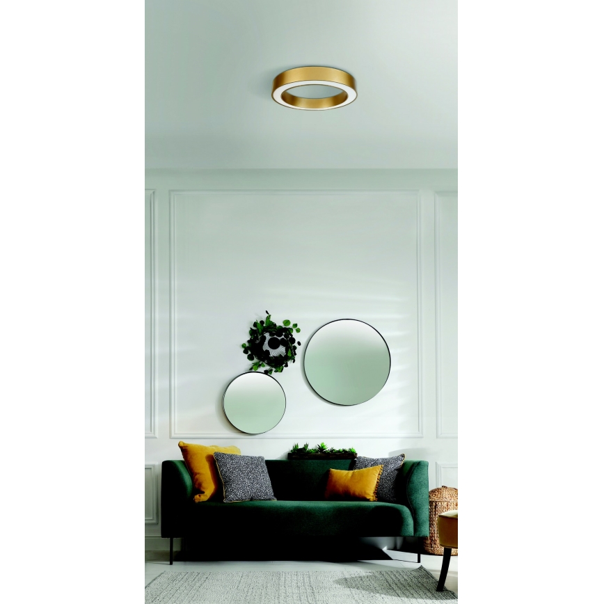 Azzardo AZ5030 - LED taklampa MARCO LED/30W/230V guld