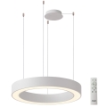 Azzardo AZ5052 - Dimmbar LED-pendel på vajer MARCO LED/100W/230V vit + fjärrkontroll