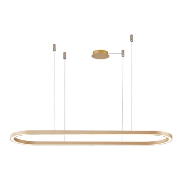 Azzardo AZ5058 - LED ljusreglerad ljuskrona på textilsladd ELENA LED/60W/230V 150 cm guld