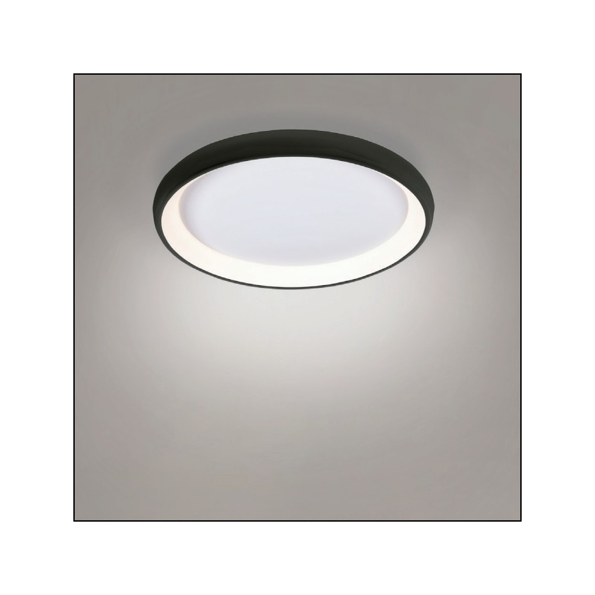 Azzardo AZ5072 - LED Dimbar taklampa ANTONIO LED/50W/230V svart + fjärrkontroll