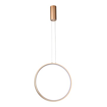 Azzardo AZ5254 - LED ljusreglerad ljuskrona på textilsladd MASSIMA LED/25W/230V guld