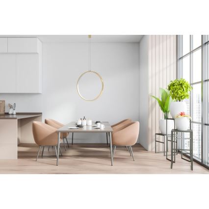 Azzardo AZ5254 - LED ljusreglerad ljuskrona på textilsladd MASSIMA LED/25W/230V guld