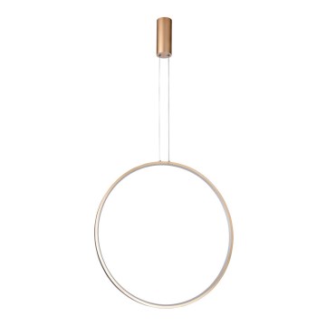 Azzardo AZ5256 - LED ljusreglerad ljuskrona på textilsladd MASSIMA LED/35W/230V guld