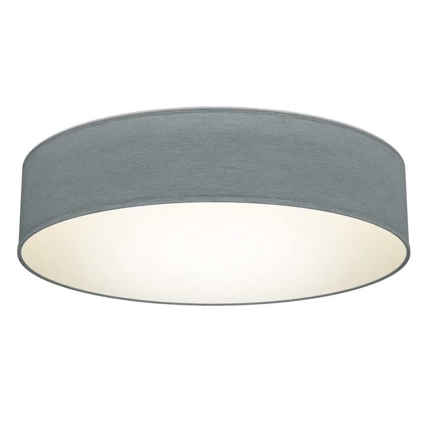 B.K. Licht 1393 - LED taklampa  LED/20W/230V grå