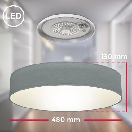 B.K. Licht 1393 - LED taklampa  LED/20W/230V grå
