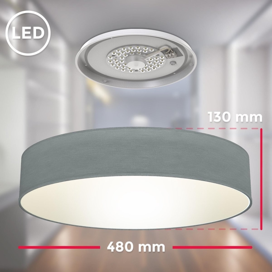B.K. Licht 1393 - LED taklampa  LED/20W/230V grå