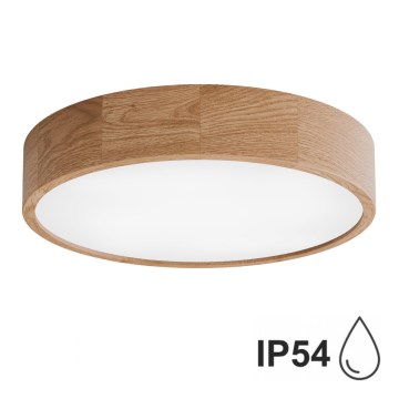 Badrum takbelysning CLEO 4xE27/24W/230V IP54 diameter 47,5 cm ek