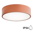 Badrum taklampa  CLEO 2xE27/24W/230V d. 30 cm koppar IP54