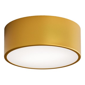 Badrumstaklampa CLEO med rörelsesensor, 1xE27/24W/230V, Ø20 cm, IP54, guldfärgad