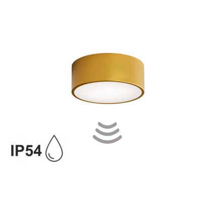 Badrumstaklampa CLEO med rörelsesensor, 1xE27/24W/230V, Ø20 cm, IP54, guldfärgad