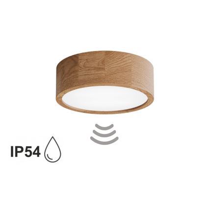 Badrumstaklampa med sensor CLEO 2xE27/24W/230V Ø 27,5 cm IP54 ek