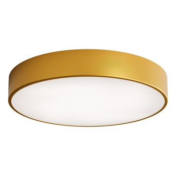 Badrumstaklampa med sensor CLEO 4xE27/24W/230V Ø 50 cm IP54 i guld