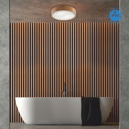 Badrumstaklampa OAK 3xE27/15W/230V ek, Ø 37 cm, IP54