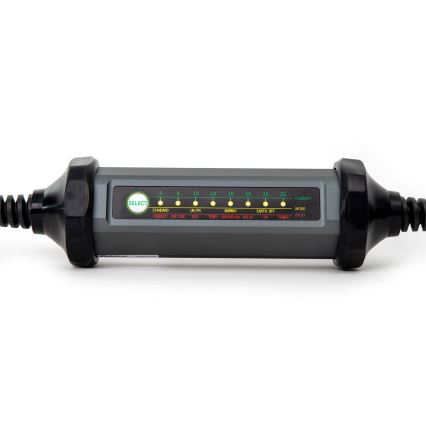 Bärbar laddare för elbilar med 4 adaptrar Type 2 32A/480V 22kW 5m IP67