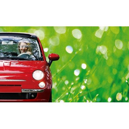 Billampa Philips ECOVISION 12972LLECOB1 H7 PX26d/55W/12V