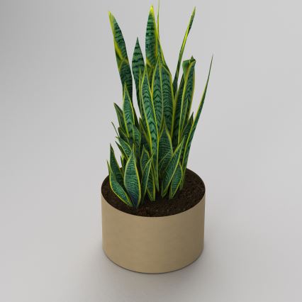 Blomkruka11x17 cm gyllene